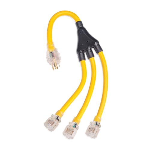 Champion Power Equipment 2 ft. 30A 250V Generator Adapter Cord