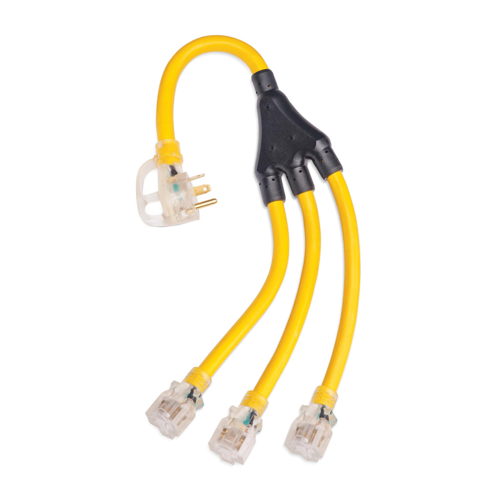 Champion Power Equipment 2 ft. 30A 250V Generator Adapter Cord