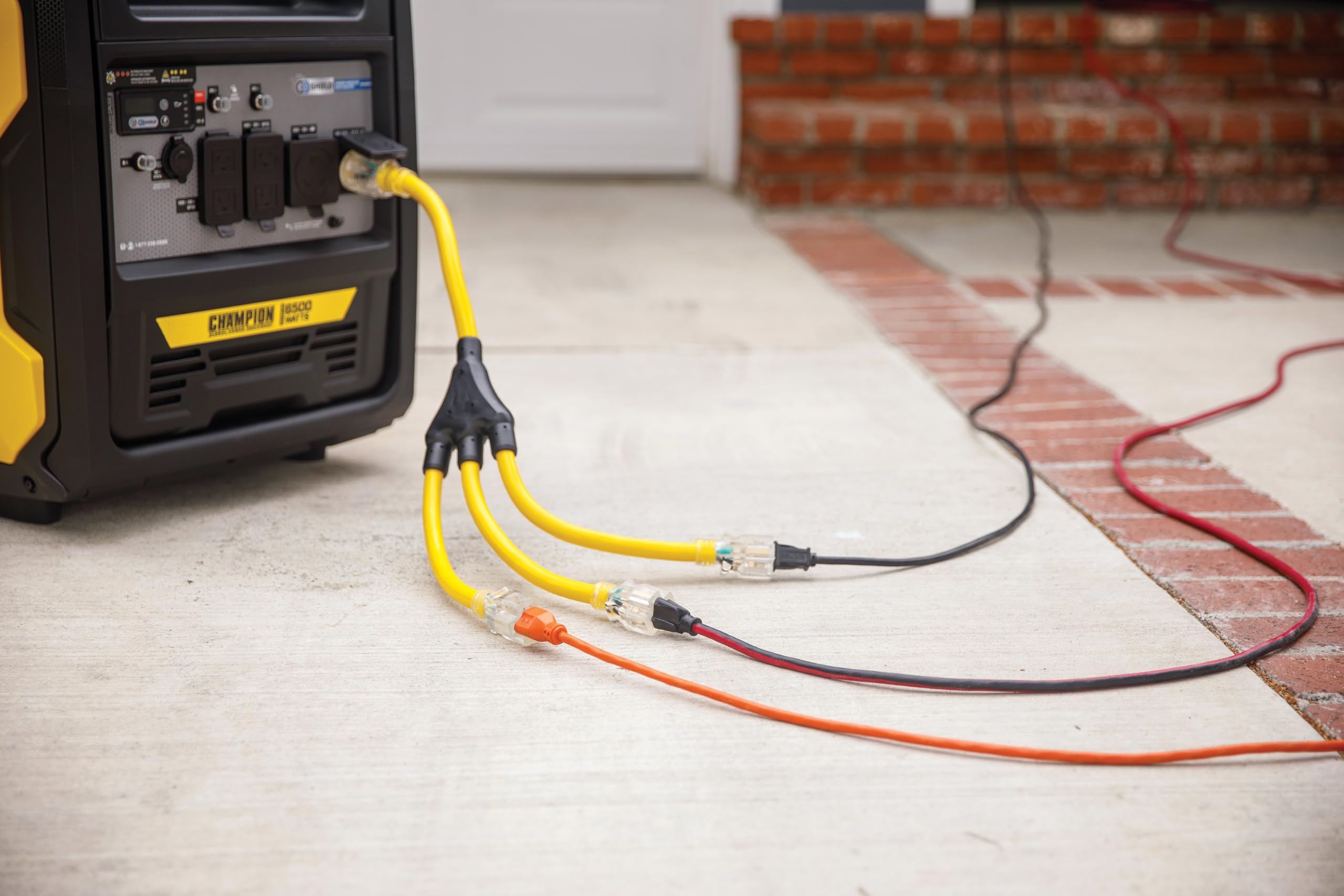 Champion Power Equipment 2 ft. 30A 250V Generator Adapter Cord